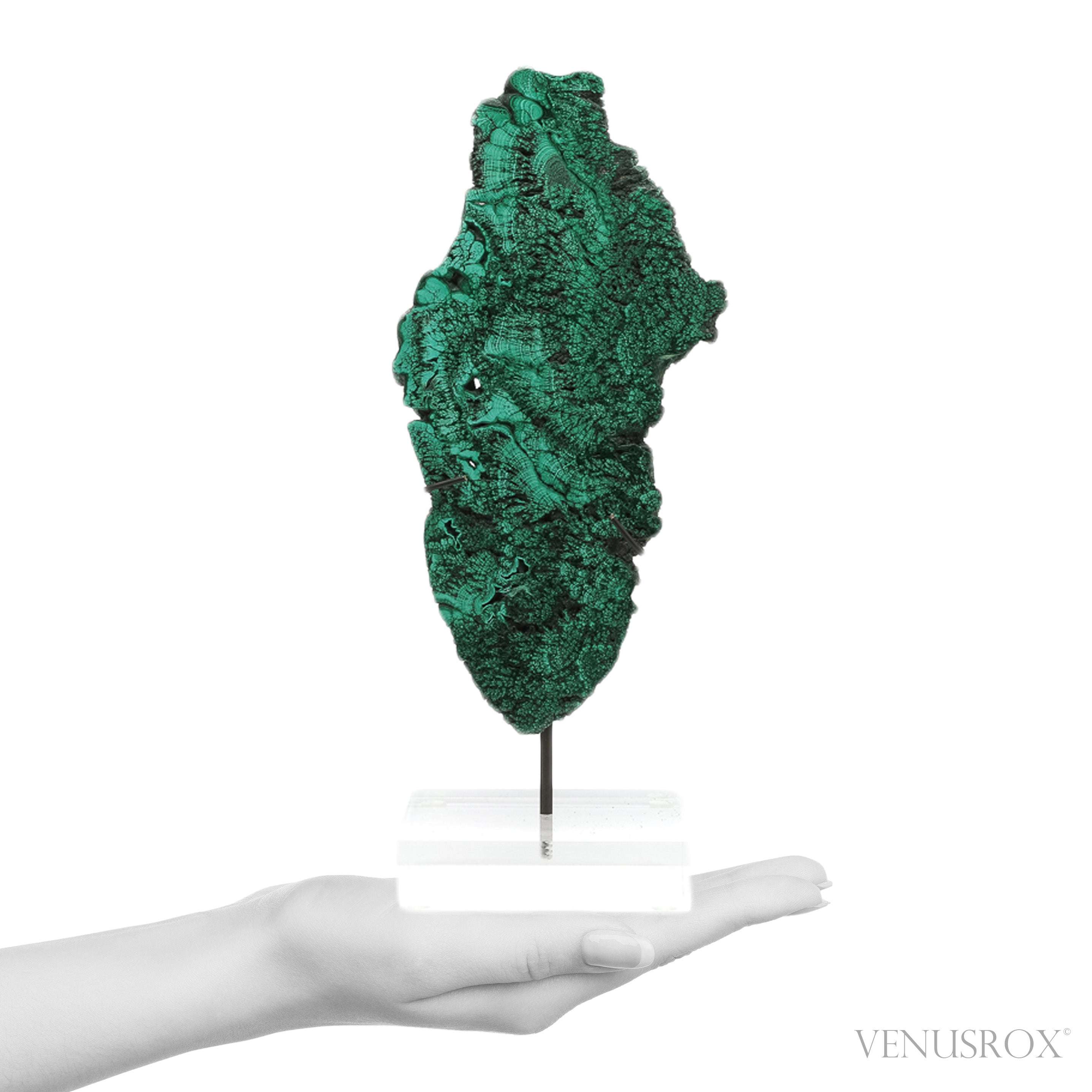 Malachite Slice from the Democratic Republic of the Congo | Venusrox