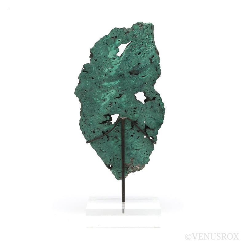 Malachite Slice from the Democratic Republic of the Congo | Venusrox