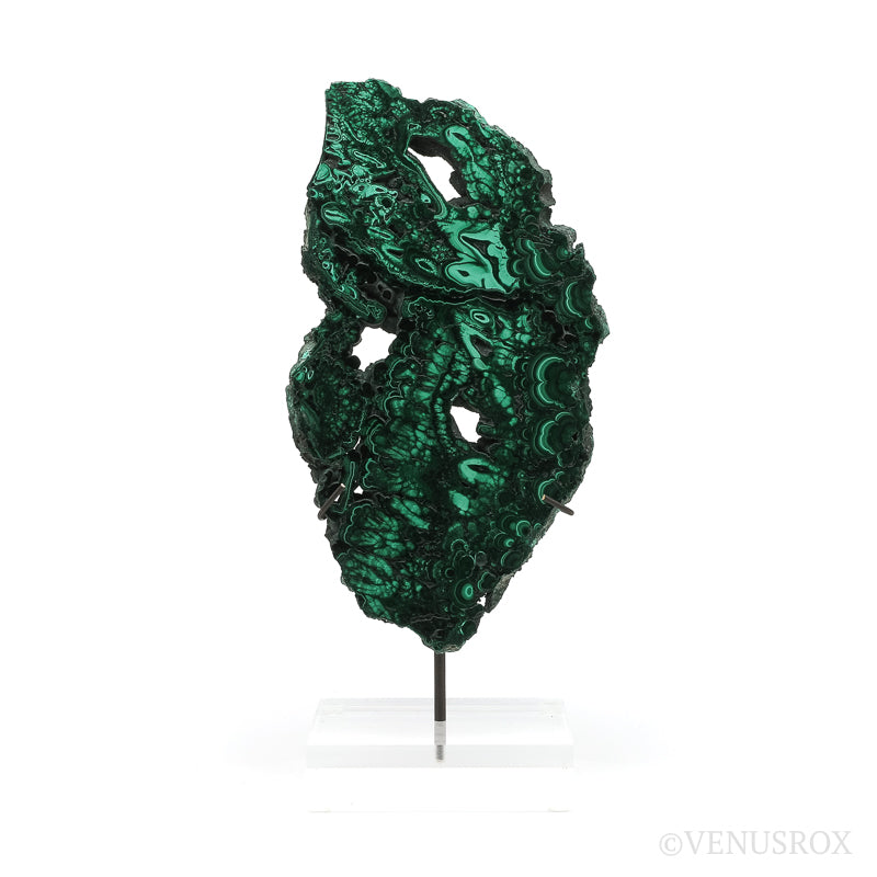 Malachite Slice from the Democratic Republic of the Congo | Venusrox