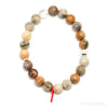 Crazy Lace Agate Bracelet from Mexico | Venusrox