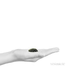 Moldavite Crystal from Chlum, Czech Republic | Venusrox