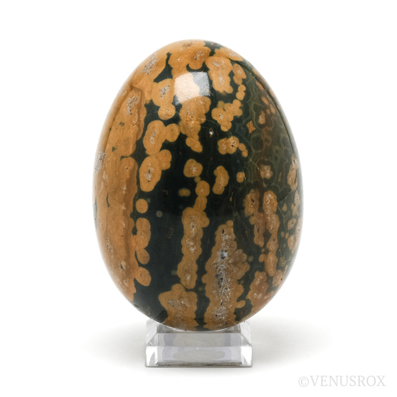 Ocean Jasper Polished Egg from Madagascar | Venusrox