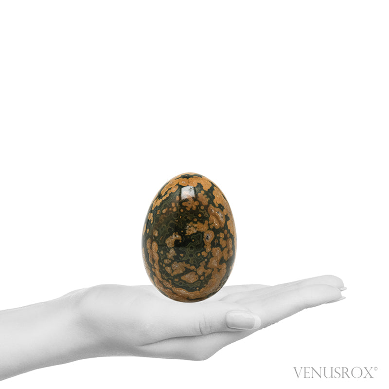 Ocean Jasper Polished Egg from Madagascar | Venusrox