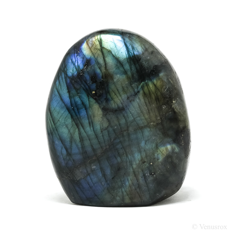 Labradorite Polished Freeform from Madagascar | Venusrox
