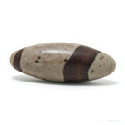 Shiva Lingam from the Narmada River, Madhya Pradesh, India | Venusrox