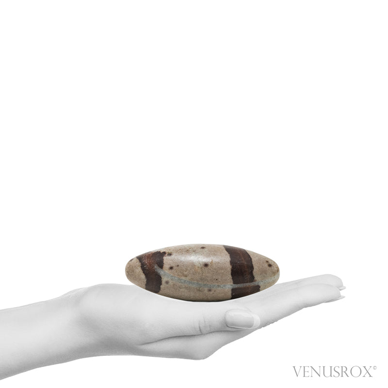 Shiva Lingam from the Narmada River, Madhya Pradesh, India | Venusrox