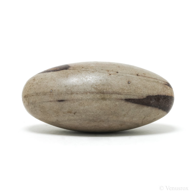 Shiva Lingam from the Narmada River, Madhya Pradesh, India | Venusrox