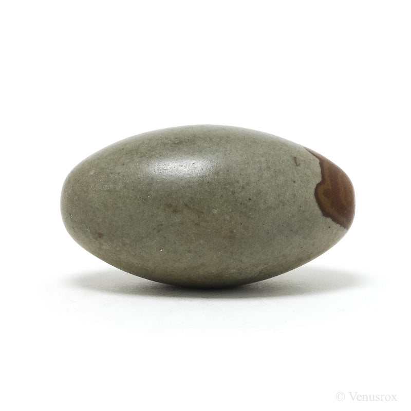 Shiva Lingam from the Narmada River, Madhya Pradesh, India | Venusrox