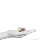 Natural Amethyst Spirit Quartz Cluster from Mpumalanga, South Africa | Venusrox