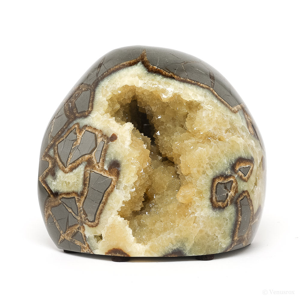 Septarian Geode Part Polished/Part Natural Slice from Utah, USA | Venusrox