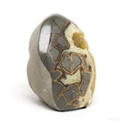 Septarian Geode Part Polished/Part Natural Slice from Utah, USA | Venusrox