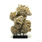 Desert Rose Natural Cluster from Mexico mounted on a stand | Venusrox