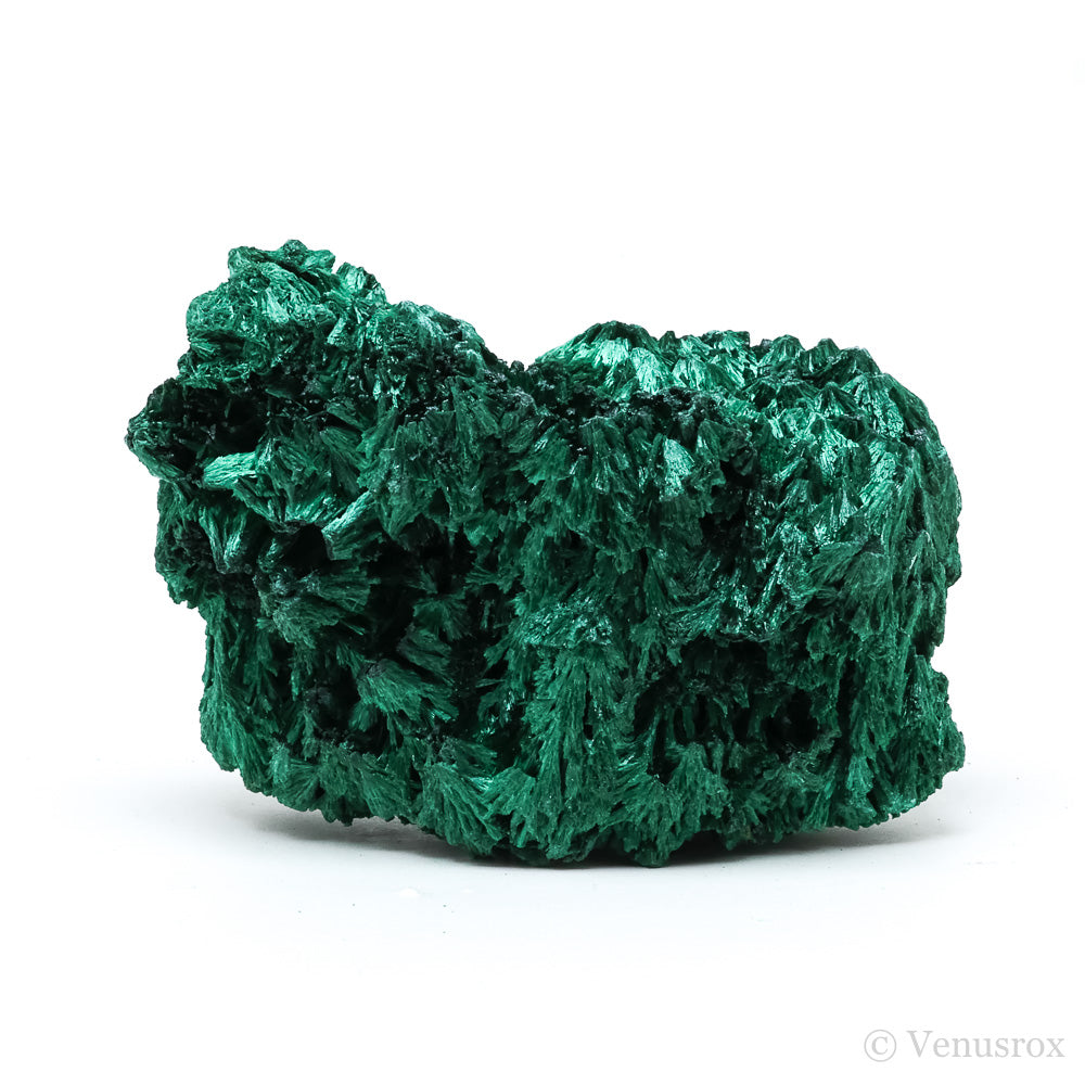 Fibrous Malachite Natural Crystal from the Luishia Mine, Katanga Province, Democratic Republic of Congo | Venusrox