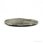 Pyrite Sun from Sparta, Randolph Co., Illinois, USA | Venusrox