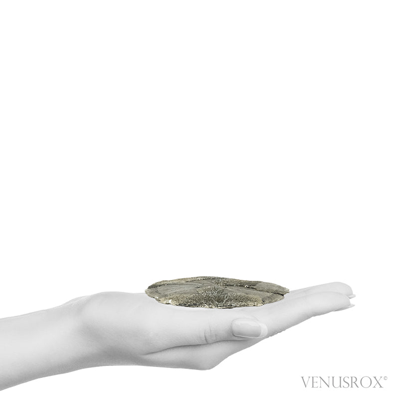 Pyrite Sun from Sparta, Randolph Co., Illinois, USA | Venusrox