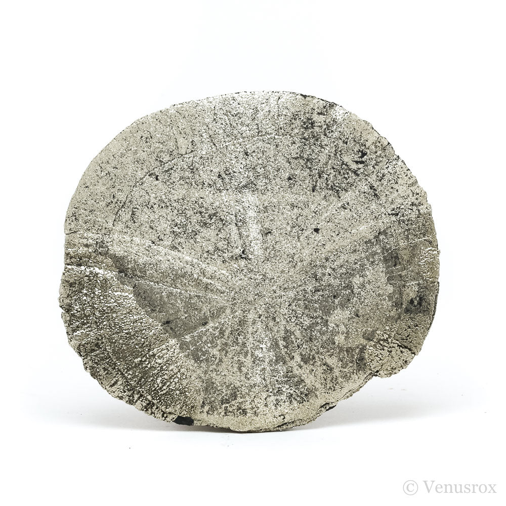 Pyrite Sun from Sparta, Randolph Co., Illinois, USA | Venusrox