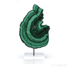Malachite Polished Slice from the Democratic Republic of the Congo, mounted on a bespoke stand | Venusrox