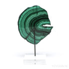Malachite Polished Slice from the Democratic Republic of the Congo, mounted on a bespoke stand | Venusrox