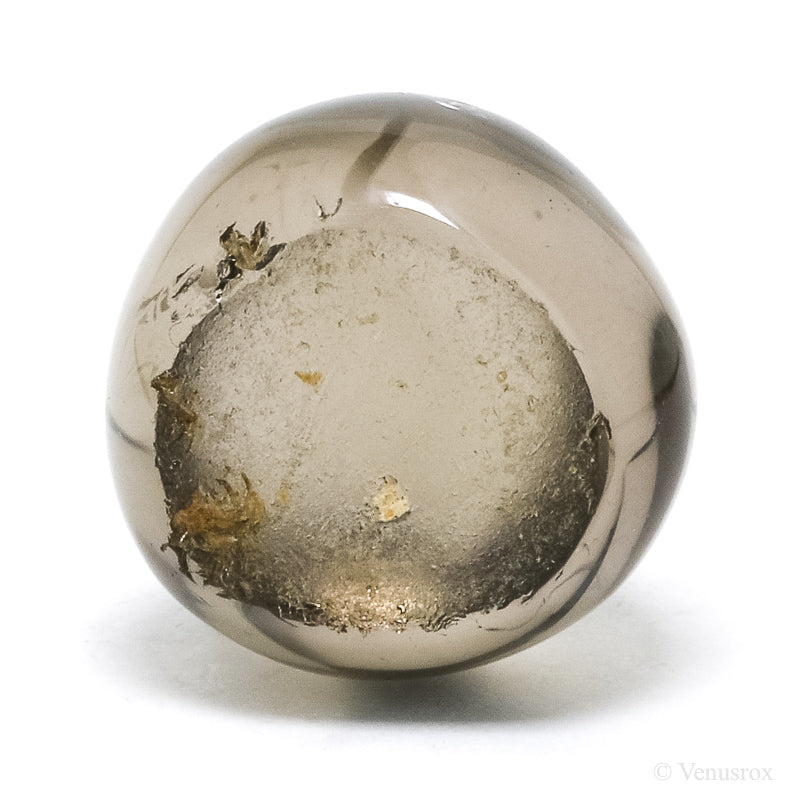 Smoky Quartz Part Polished/Part Natural Crystal from Brazil | Venusrox