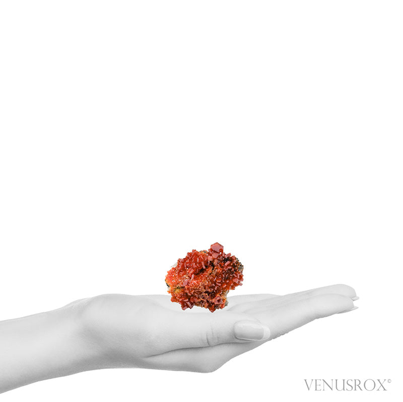 Vanadinite on Barite Natural Specimen from Mibladen, Midelt, Meknes-Tafilalet Region, Morocco | Venusrox
