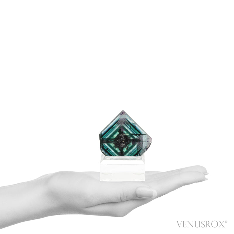 Fluorite Polished/Natural Slice from Namibia, mounted on a bespoke stand | Venusrox