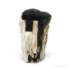 Petrified Wood Polished/Natural Crystal from Snake River, Idaho, USA| Venusrox