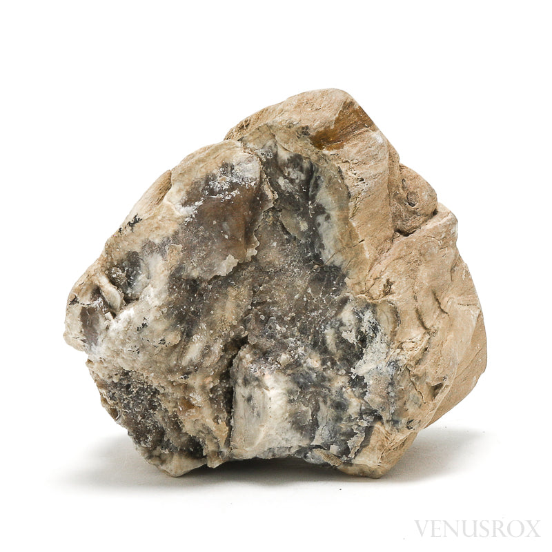 Petrified Wood Polished/Natural Crystal from Vantage, Washington State, USA | Venusrox