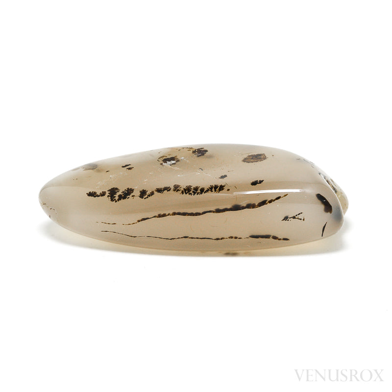Agate Polished Crystal from Montana, USA | Venusrox