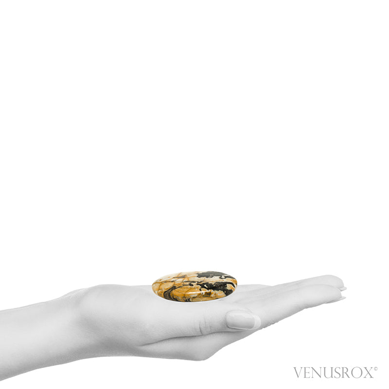 Peanut Wood Polished Crystal from Australia | Venusrox