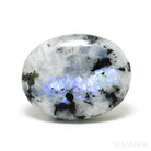 Rainbow Moonstone with Black Tourmaline Polished Crystal from India | Venusrox
