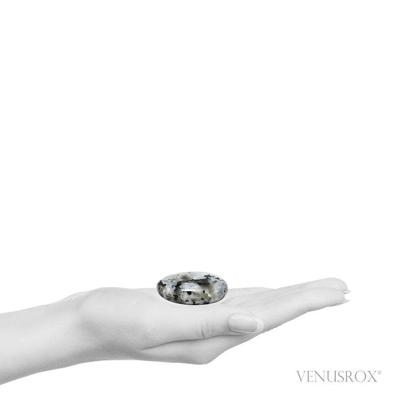 Rainbow Moonstone with Black Tourmaline Polished Crystal from India | Venusrox