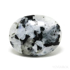 Rainbow Moonstone with Black Tourmaline Polished Crystal from India | Venusrox