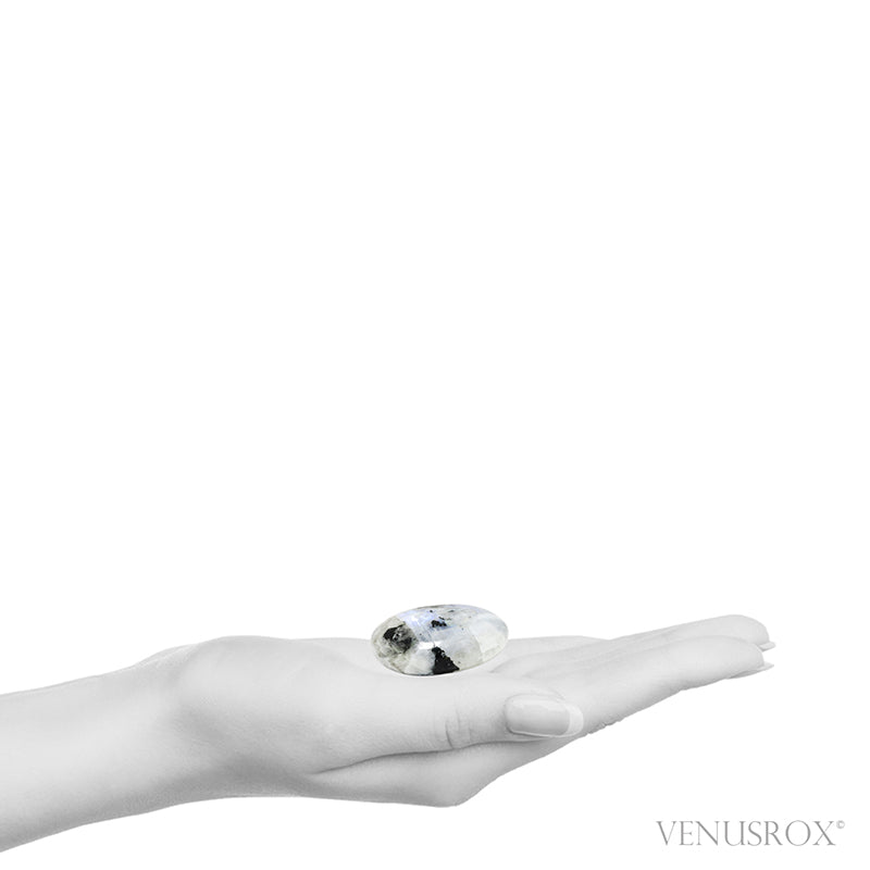 Rainbow Moonstone with Black Tourmaline Polished Crystal from India | Venusrox