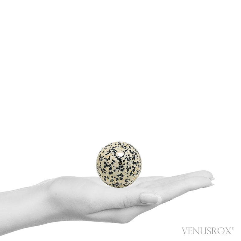 Dalmatian Jasper Polished Sphere from Mexico | Venusrox