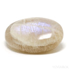 Rainbow Moonstone Polished Crystal from Tanzania | Venusrox