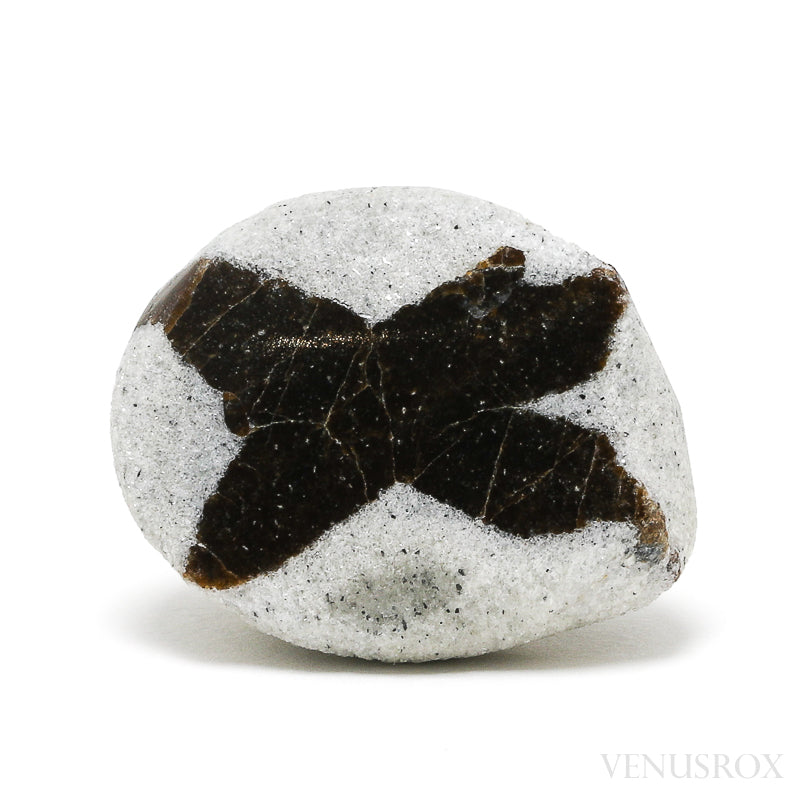 Staurolite/Fairy Cross Natural Crystal from Pestsovye Keivy, Keivy Mountains, Kola Peninsula, Northern Region, Russia | Venusrox