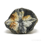 Chiastolite/Andalusite Natural Crystal from Pestsovye Keivy, Keivy Mountains, Kola Peninsula, Northern Region, Russia | Venusrox