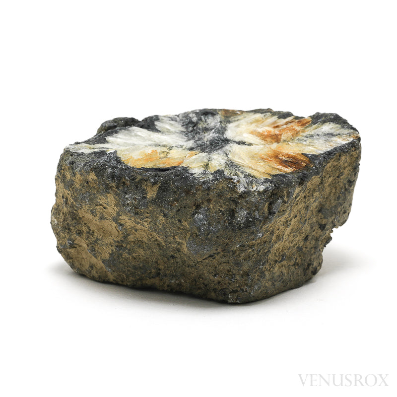 Chiastolite/Andalusite Natural Crystal from Pestsovye Keivy, Keivy Mountains, Kola Peninsula, Northern Region, Russia | Venusrox