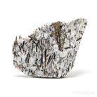 Astrophyllite Natural Crystal from Kola Peninsula, Russia | Venusrox