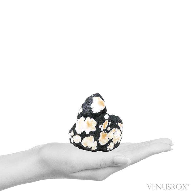 Howlite Natural/Polished Crystal from Tick Canyon, California, USA | Venusrox
