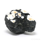 Howlite Natural/Polished Crystal from Tick Canyon, California, USA | Venusrox