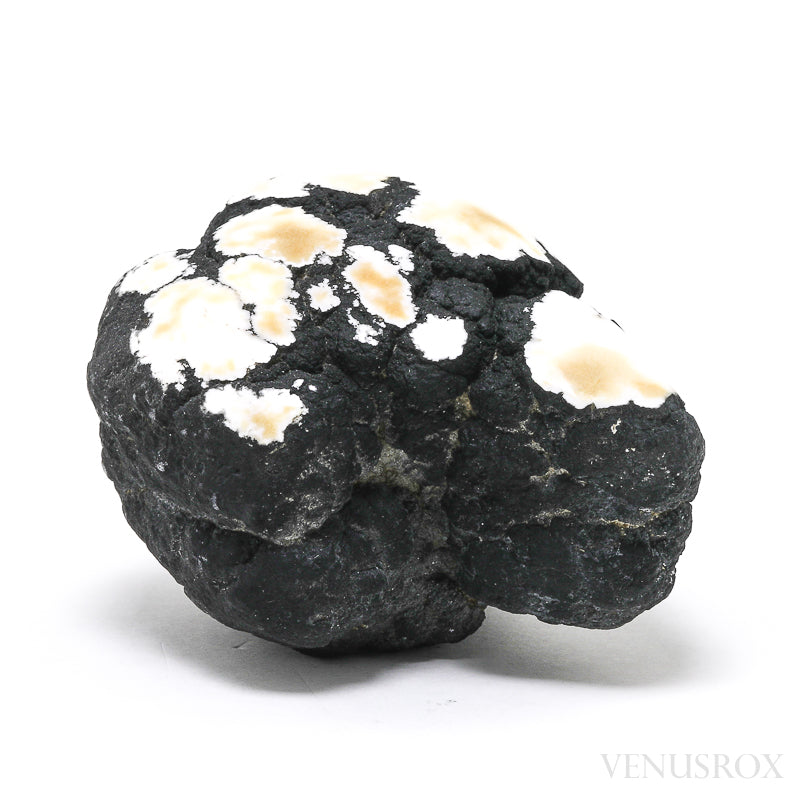 Howlite Natural/Polished Crystal from Tick Canyon, California, USA | Venusrox