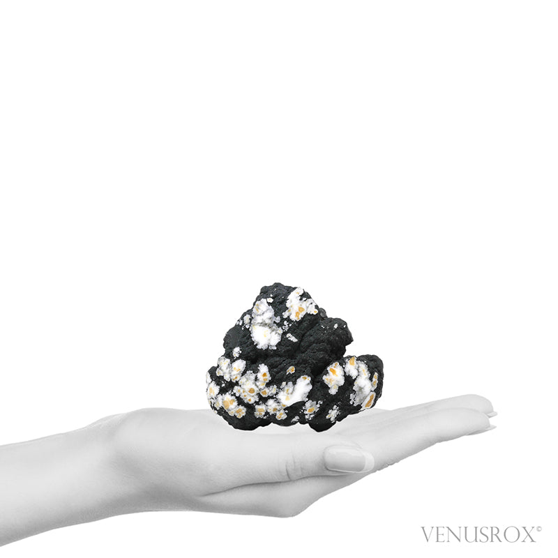 Howlite Natural/Polished Crystal from Tick Canyon, California, USA | Venusrox