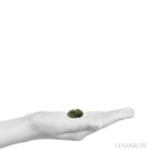 Moldavite Crystal from Chlum, Czech Republic | Venusrox