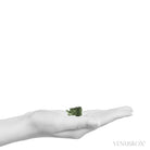 Moldavite Crystal from Chlum, Czech Republic | Venusrox