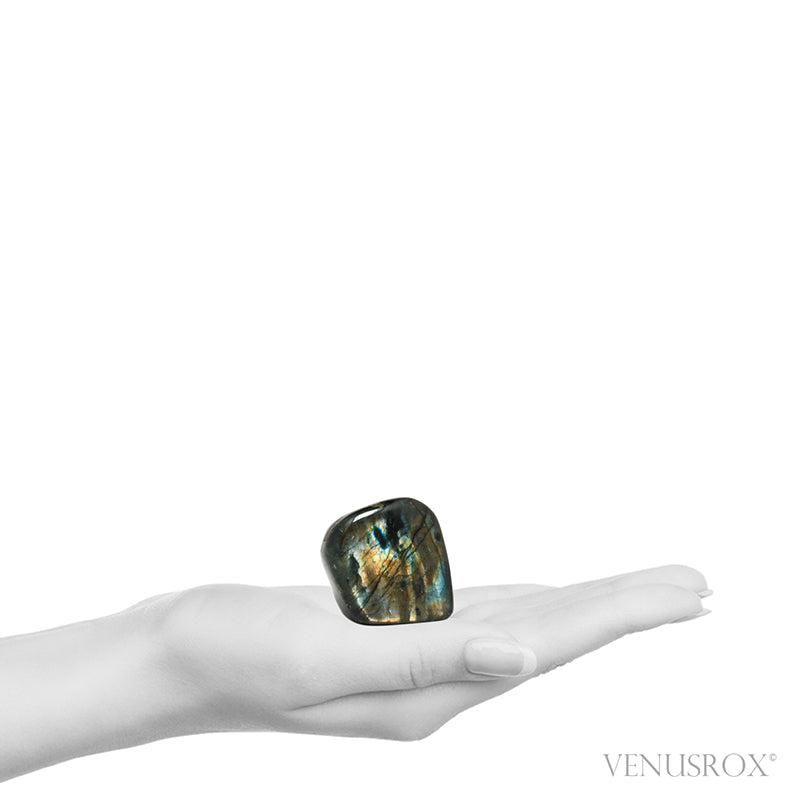 Labradorite Polished Freeform from Madagascar | Venusrox