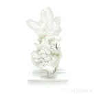 Clear Quartz with Dolomite & Pyrite Natural Cluster from the Trepča Mining Complex, Trepča Valley, Kosovska Mitrovica, Kosovska Mitrovica District, Kosovo mounted on a bespoke stand | Venusrox