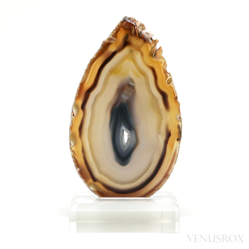 Agate Polished Slice from Brazil, mounted on a bespoke stand | Venusrox