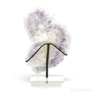 Amethyst with Clear Quartz Druzy Natural Cluster from Mexico mounted on bespoke stand | Venusrox