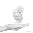 Amethyst with Clear Quartz Druzy Natural Cluster from Mexico mounted on bespoke stand | Venusrox